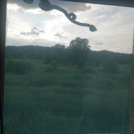 דירות Białowieża Ostoja מראה חיצוני תמונה